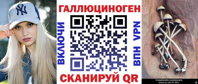 Галлюциногенные грибы GOLDEN TEACHER  Магадан 