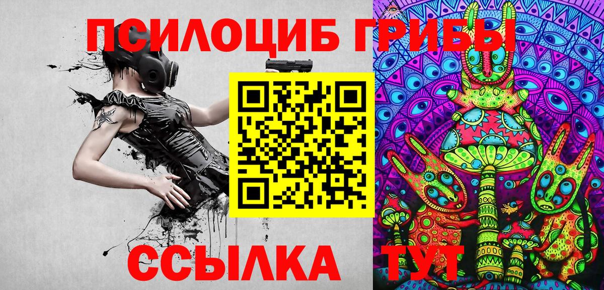 Псилоцибиновые грибы Cubensis Магадан