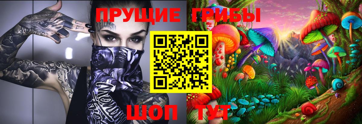 Галлюциногенные грибы Magic Shrooms Магадан