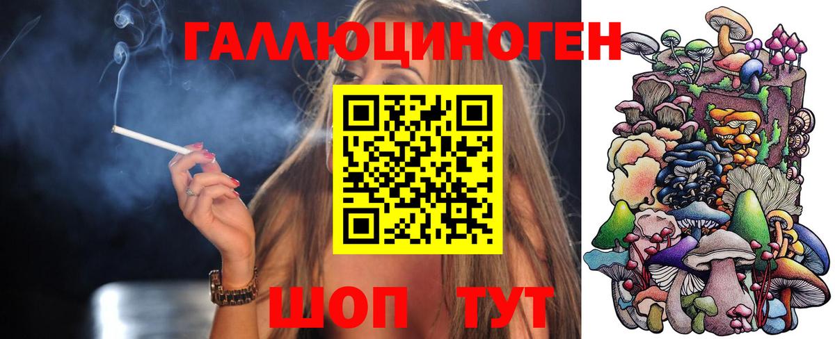 Галлюциногенные грибы MAGIC MUSHROOMS  Вход с VPN  Магадан 