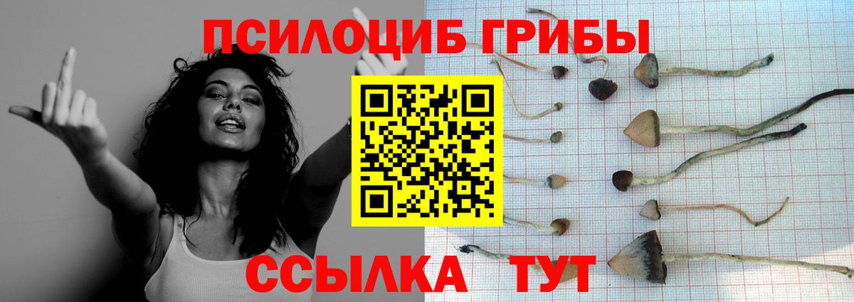 Галлюциногенные грибы GOLDEN TEACHER  Псилоцибиновые грибы Psilocybe  Магадан 